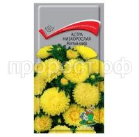 Астра-низкорослая-Желтый-ковер-0,2г-Поиск Астра-низкорослая-Желтый-ковер-0,2г-Поиск