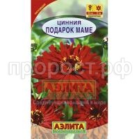 52993-800x800 52993-800x800