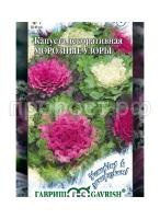 капуста дек. мор капуста дек. мор