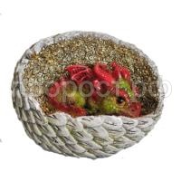 дракон в яйце 390 дракон в яйце 390