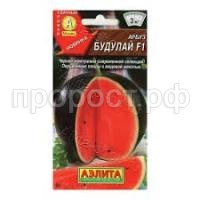 Без названия (4)