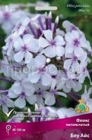 Флокс метельчатый Блу Айс Флокс метельчатый Блу Айс