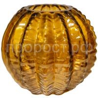 кактус шар желт кактус шар желт