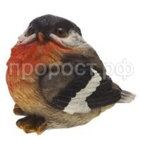 Дикие птицы_html_45997504fcc96ad2