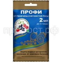 Профи-2-пакет 2023 копия Профи-2-пакет 2023 копия