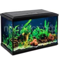 З179260_0 З179260_0