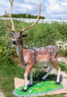 олень пятнис олень пятнис