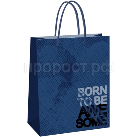 Пакет подарочный 26*32*12см "Awesome" крафт MESHU/Рельеф