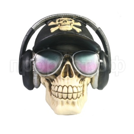 Веселый Роджер (черный) 718143/SK196