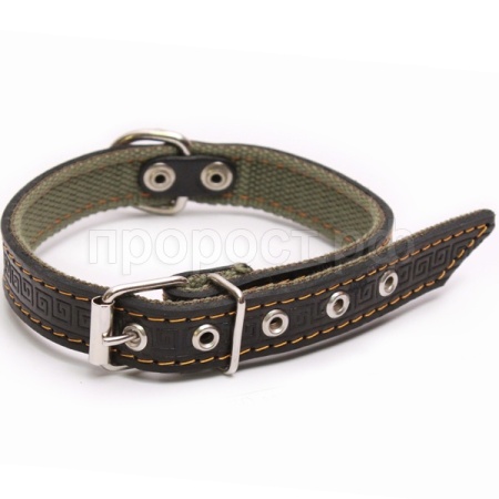 Ошейник кожа+брезент 25мм 2-х слойный Н/У 50-52см/40724/Бим