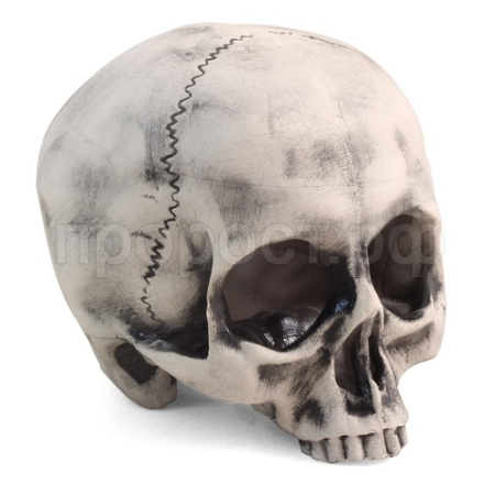 Грот Капитан Флинт 108*108*118мм 2808LD 