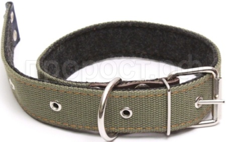 Ошейник брезентовый 35мм Н/У на фетре/180036/Бим
