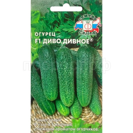 Огурец Диво Дивное F1 0,2г 