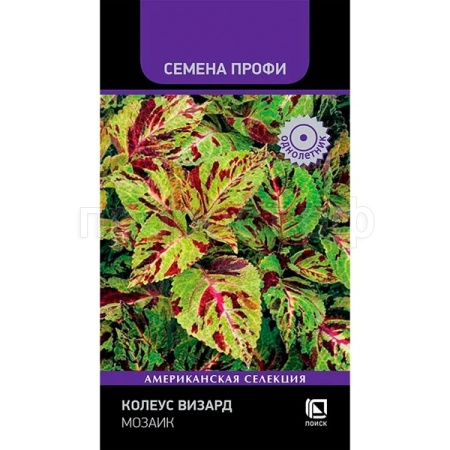 Поиск Колеус Визард Мозаик 10шт 