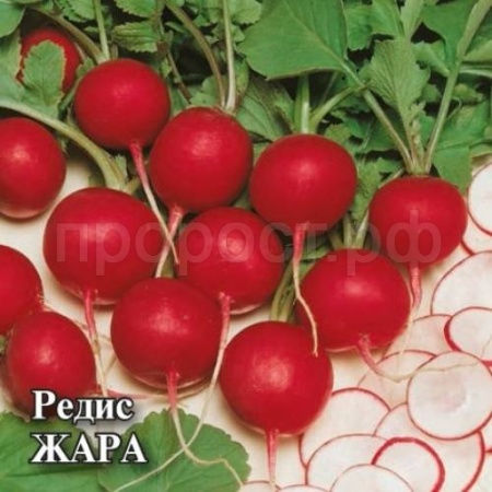 Редис Жара 25 г