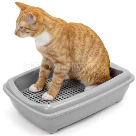 Туалет д/кошек Zoo-M глубокий под наполнитель+рамка с сеткой 43*30*12см светло-серый/2907/Дарэлл