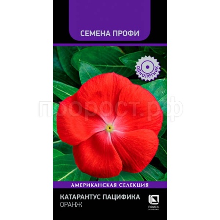 Катарантус Пацифика Оранж 10шт