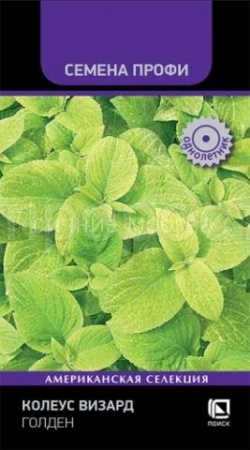 Поиск Колеус Визард Голден 10шт 