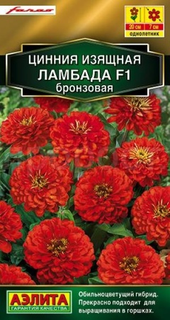 Цинния Ламбада F1 бронзовая 12шт