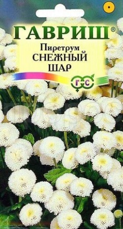 Пиретрум Снежный шар 0,01г 
