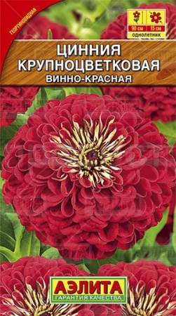 Цинния Крупноцветковая винно-красная 