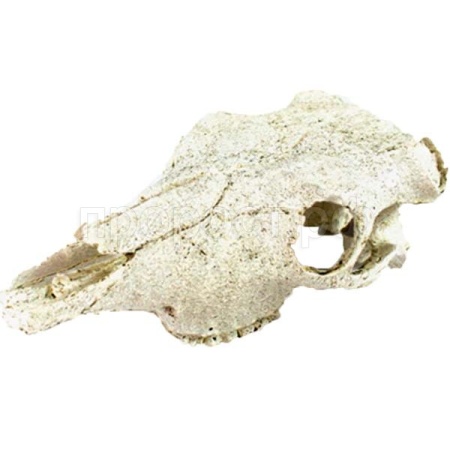 Грот Череп бизона Nomoy Pet 21х7,5см/NMP-NS-74 Грот Череп бизона Nomoy Pet 21х7,5см/NMP-NS-74