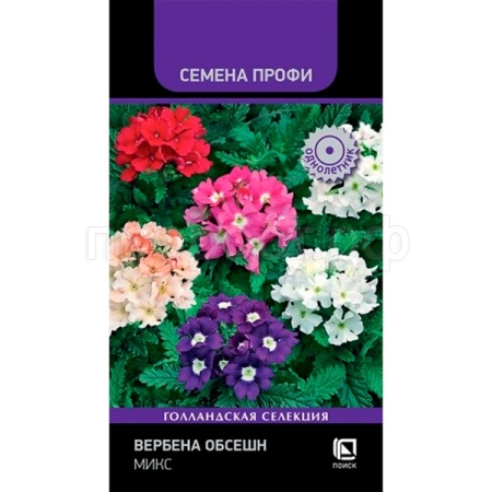 Вербена Обсешн Микс 10шт 