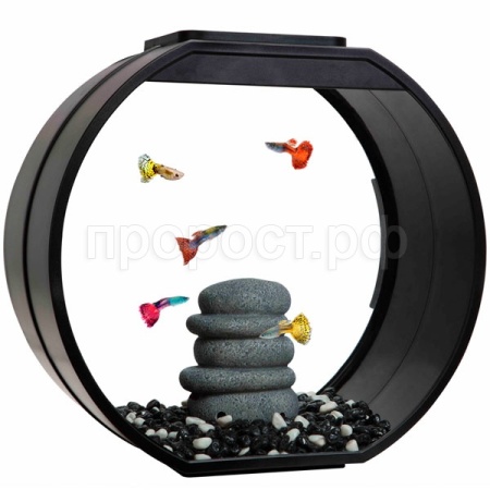 Аквариум Deco O UPG 20л 395*207*375мм черный/AA-Aquariums/73516010 Аквариум Deco O UPG 20л 395*207*375мм черный/AA-Aquariums/73516010