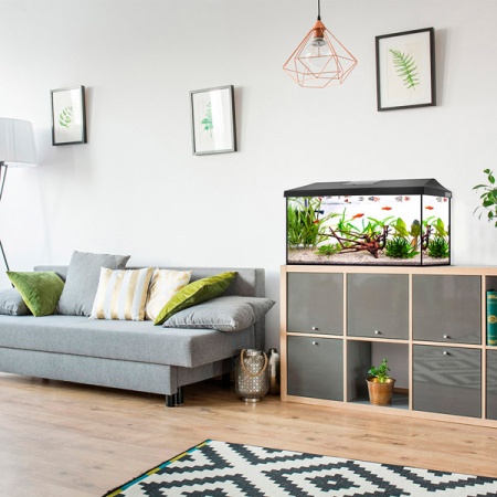 Аквариум прямоугольный полный комплект 105л(76х36х46см) LEDDY SET 75 черный/124534/АП Аквариум прямоугольный полный комплект 105л(76х36х46см) LEDDY SET 75 черный/124534/АП