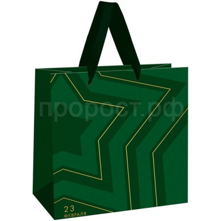 Пакет подарочный 20*20*10см "Military" фольга, матовая ламинация MESHU/Рельеф