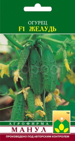 Манул Огурец Желудь F1 10 шт