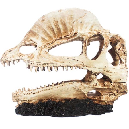 Грот Череп дилофозавра Nomoy Pet 17х7.5х14см/NMP-NS-117 Грот Череп дилофозавра Nomoy Pet 17х7.5х14см/NMP-NS-117