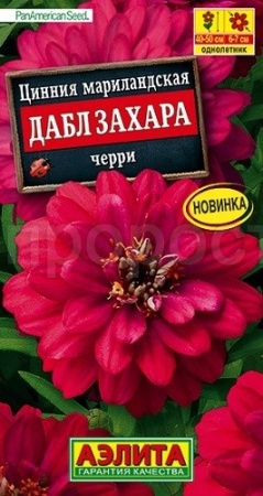 Аэлита Цинния Дабл Захара черри 5шт 