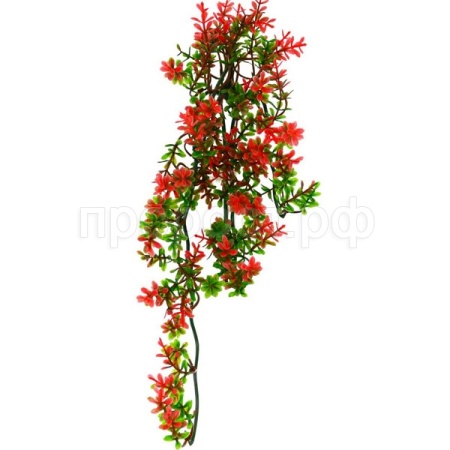 Растение LUCKY REPTILE Turtle Plant Ludwigia 40см (Германия) TP-40