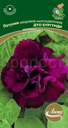 Петуния махровая многоцветковая Дуо бургунди 10шт
