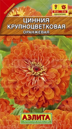 Цинния Крупноцветковая оранжевая